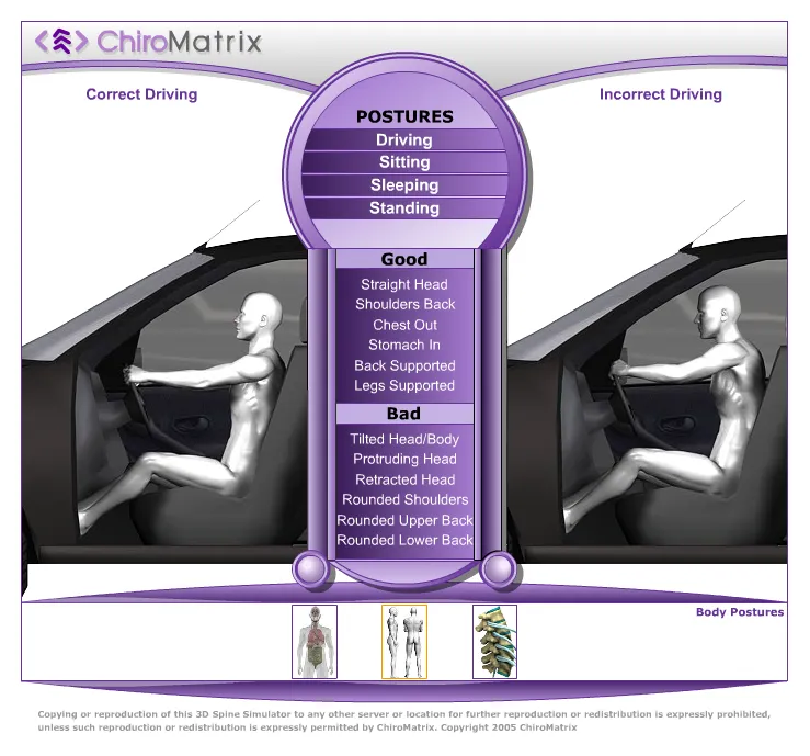 Driving posture comparison.